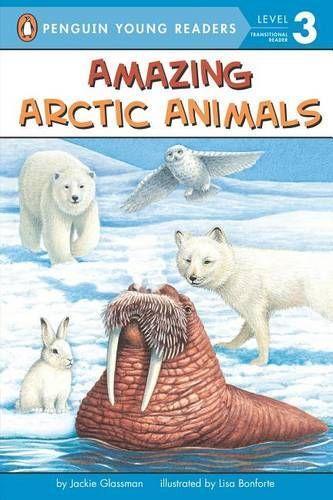 Amazing Arctic Animals  by Jackie Glassman at Abbey's Bookshop, 