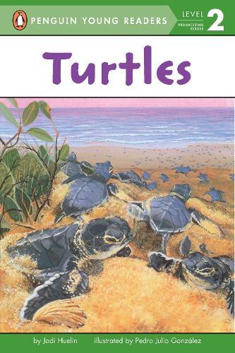 Turtles  by Jodi Huelin at Abbey's Bookshop, 