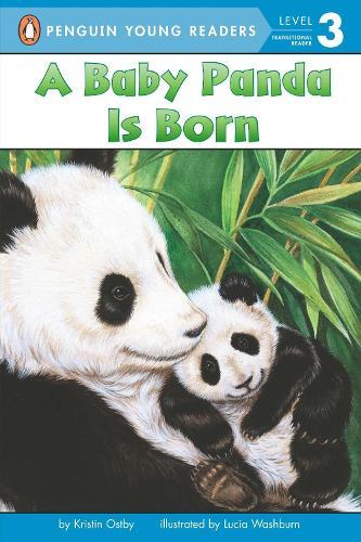 A Baby Panda Is Born  by Kristin Ostby at Abbey's Bookshop, 