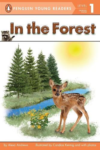 In the Forest  by Alexa Andrews at Abbey's Bookshop, 