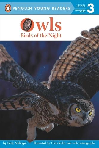 Owls: Birds of the Night  by Emily Sollinger at Abbey's Bookshop, 