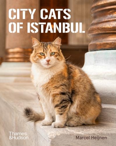 City Cats of Istanbul  by Marcel Heijnen at Abbey's Bookshop, 