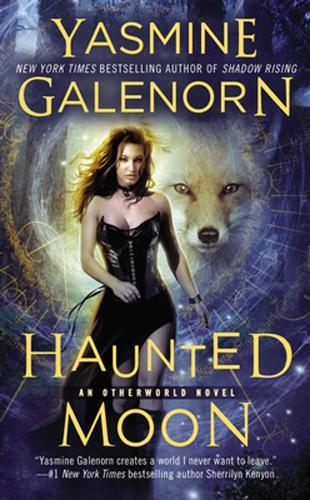 Haunted Moon (#13 Sisters of the Moon)  by Yasmine Galenorn at Abbey's Bookshop, 