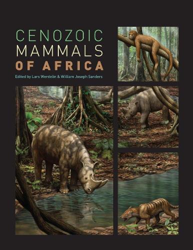 Mammals from the Age of Dinosaurs: Origins, Evolution, and Structure