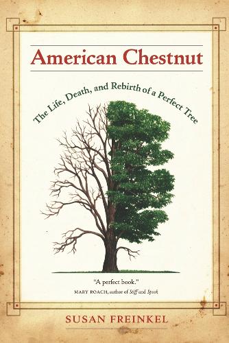 American Chestnut: The Life, Death, and Rebirth of a Perfect Tree  by Susan Freinkel at Abbey's Bookshop, 