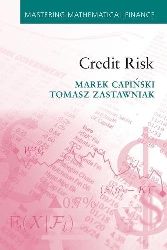 Credit Risk  by Marek Capiński (AGH University of Science and Technology, Krakow) at Abbey's Bookshop, 