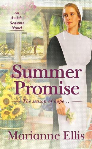 Summer Promise  by Marianne Ellis at Abbey's Bookshop, 