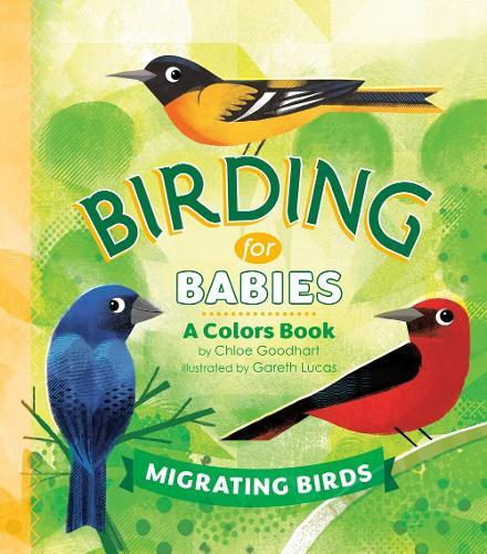 Birding for Babies: Migrating Birds: A Colors Book  by Chloe Goodhart at Abbey's Bookshop, 