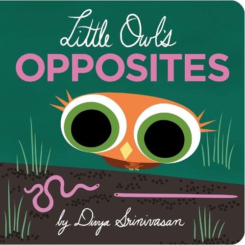 Little Owl's Opposites  by Divya Srinivasan at Abbey's Bookshop, 