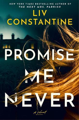 Promise Me Never: A Novel  by Liv Constantine at Abbey's Bookshop, 