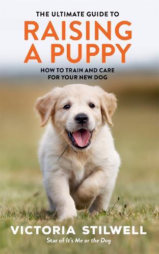 How to Raise the Perfect Dog: Everything you need to know from puppyhood to adolescence and beyond