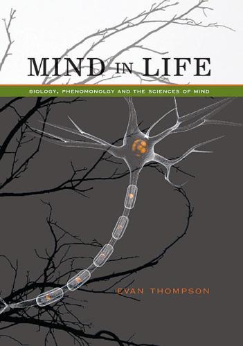 Mind in Life: Biology, Phenomenology, and the Sciences of Mind  by Evan Thompson at Abbey's Bookshop, 