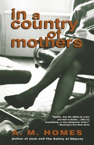 In a Country of Mothers  by A.M. Homes at Abbey's Bookshop, 