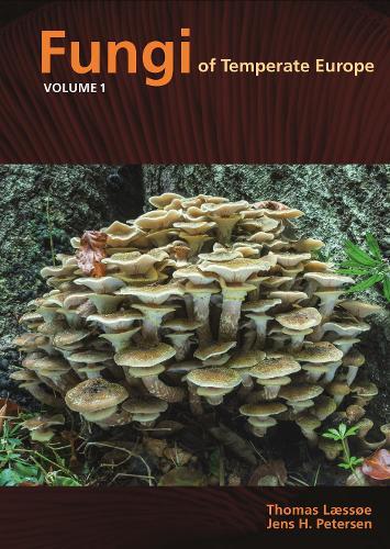 Fungi of Temperate Europe  by Thomas Læssøe at Abbey's Bookshop, 