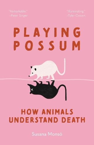 Playing Possum: How Animals Understand Death  by Susana Monsó at Abbey's Bookshop, 