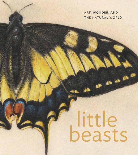 Little Beasts: Art, Wonder, and the Natural World  by Alexandra Libby at Abbey's Bookshop, 