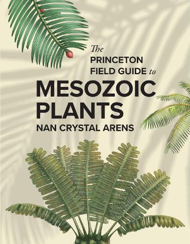 The Princeton Field Guide to Mesozoic Plants  by Nan Crystal Arens at Abbey's Bookshop, 