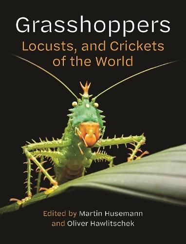 Grasshoppers, Locusts, and Crickets of the World  by Martin Husemann at Abbey's Bookshop, 