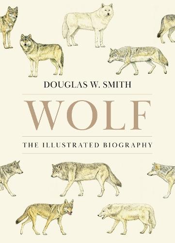 The Last Wolf