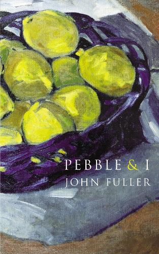 Pebble & I  by John Fuller at Abbey's Bookshop, 