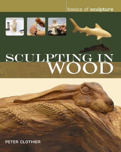 Sculpting in Wood  by Peter Clothier at Abbey's Bookshop, 