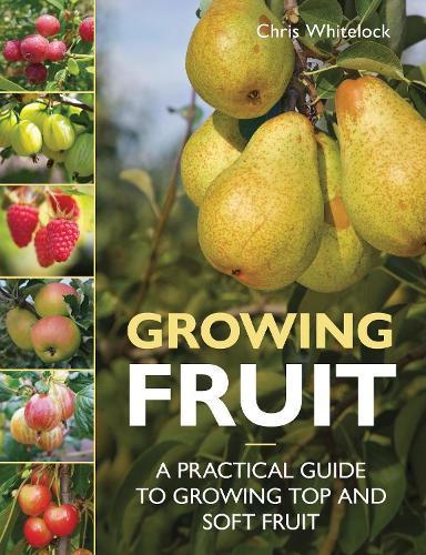 Growing Fruit: A Practical Guide to Growing Top and Soft Fruit  by Chris Whitelock at Abbey's Bookshop, 