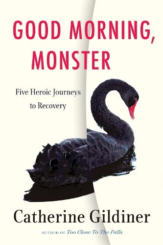 Good Morning, Monster: Four Heroic Journeys to Recovery