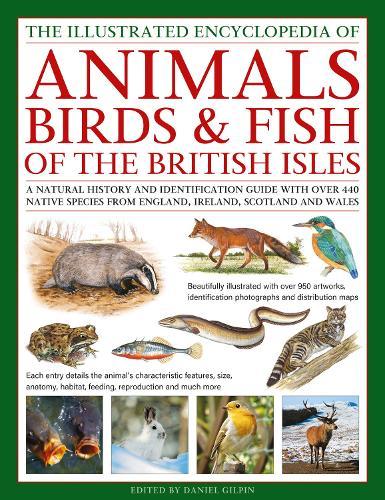 The Animals, Birds & Fish of the British Isles, Illustrated Guide to: A natural history and identification guide to over 440 native species from England, Ireland, Scotland and Wales