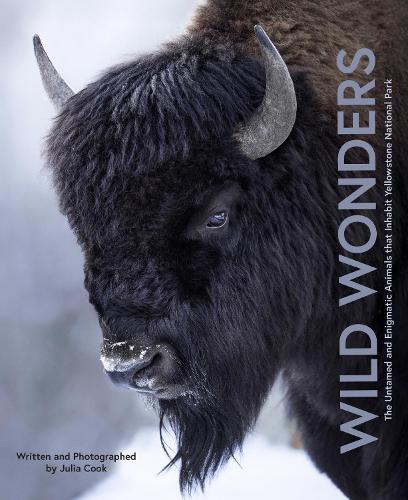 Wild Wonders: The Untamed and Enigmatic Animals that Inhabit Yellowstone National Park  by Julia Cook at Abbey's Bookshop, 