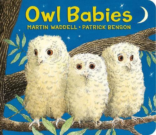 Owl Babies  by Martin Waddell at Abbey's Bookshop, 