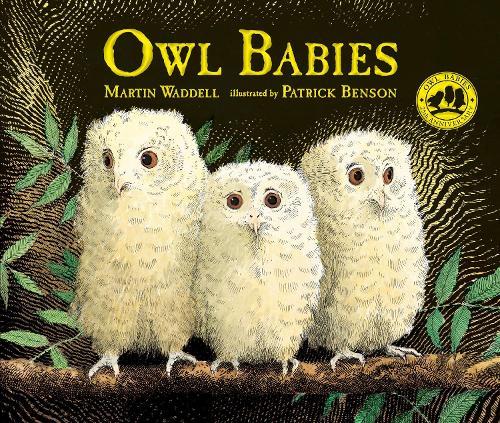 Owl Babies  by Martin Waddell at Abbey's Bookshop, 