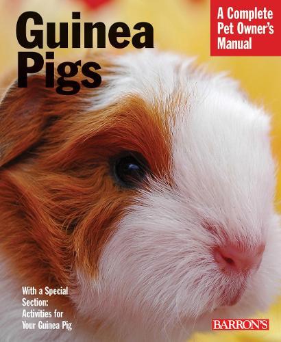 Guinea Pigs  by Immanuel Birmelin at Abbey's Bookshop, 