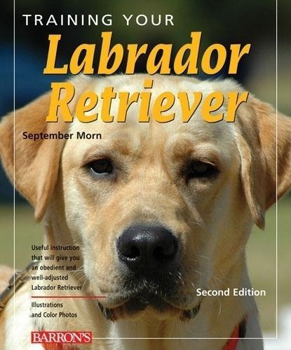 Training Your Labrador Retriever  by September Morn at Abbey's Bookshop, 