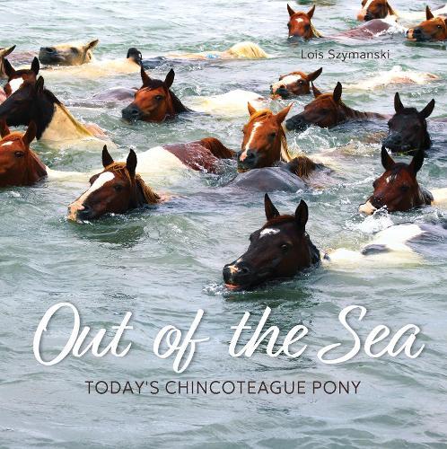 Out of the Sea: Today's Chincoteague Pony (2nd Edition)  by Lois Szymanski at Abbey's Bookshop, 