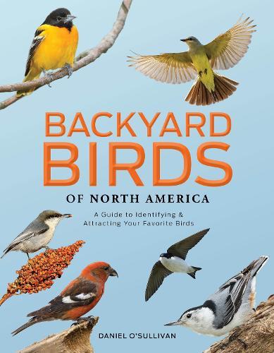Second Nature: How to Build Ecohabits That Stick
