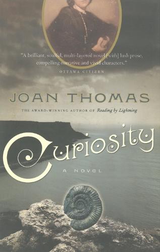 Curiosity  by Joan Thomas at Abbey's Bookshop, 