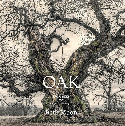 Oak: From Seed to Ancient Tree  by Beth Moon at Abbey's Bookshop, 