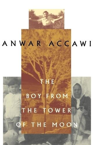 The Boy from the Tower of the Moon  by Anwar Accawi at Abbey's Bookshop, 