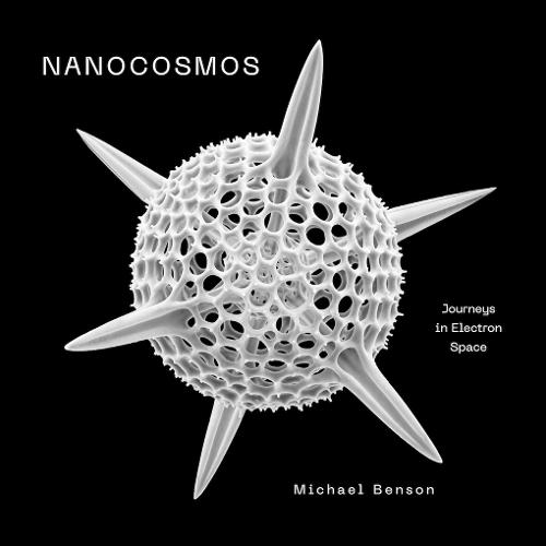 Nanocosmos: Journeys in Electron Space  by Michael Benson at Abbey's Bookshop, 