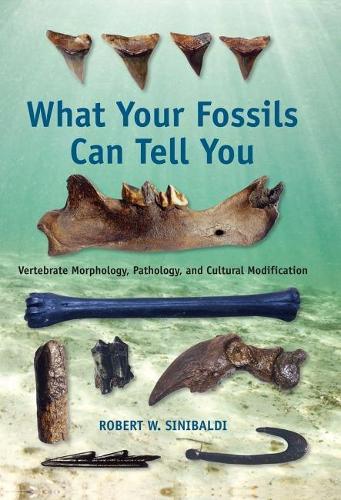 What Your Fossils Can Tell You: Vertebrate Morphology, Pathology, and Cultural Modification  by Robert W. Sinibaldi at Abbey's Bookshop, 