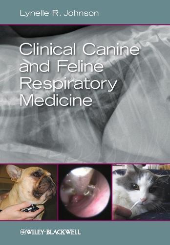 Path to Pet Wellness: The Holistic Vet's Guide to Thriving Pets and Empowered Pet Parents