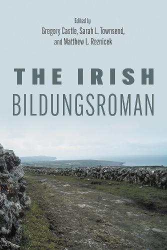 The Irish Bildungsroman  by Gregory Castle at Abbey's Bookshop, 