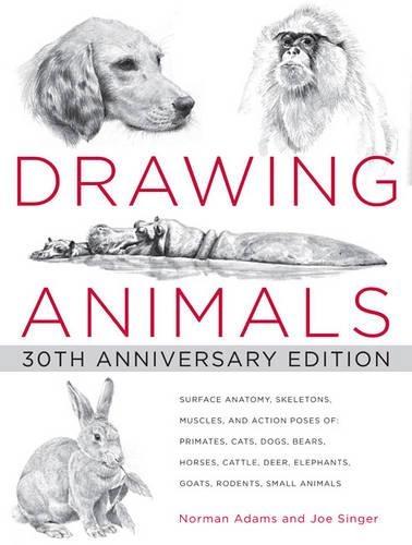 Drawing Animals: 30th Anniversary Edition  by Norman Adams at Abbey's Bookshop, 