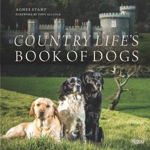 Country Life's Book of Dogs: From Countryside to Hearthside, At Home with Our Four-legged Friends  by Agnes Stamp at Abbey's Bookshop, 
