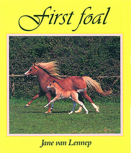 First Foal  by Jane Van Lennep at Abbey's Bookshop, 
