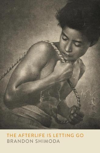 The Afterlife is Letting Go  by Brandon Shimoda at Abbey's Bookshop, 