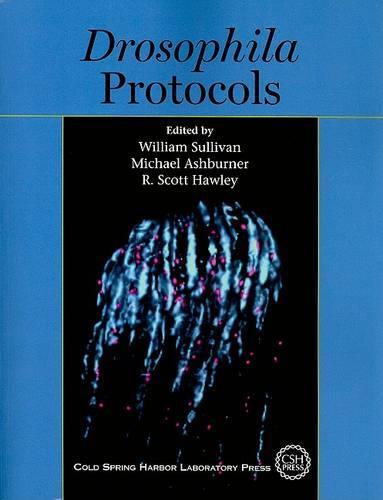 Drosophila Protocols  by W Sullivan at Abbey's Bookshop, 