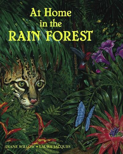 At Home in the Rain Forest  by Diane Willow at Abbey's Bookshop, 