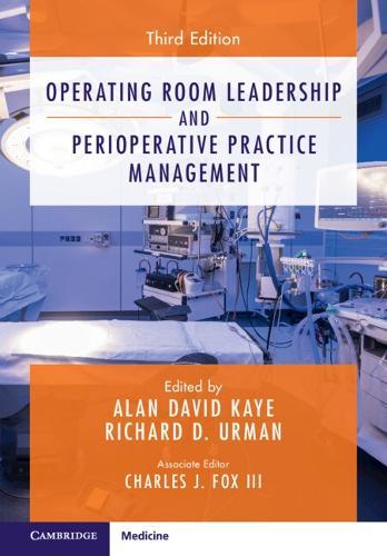 Impact of Organizational Culture and the Well Being of Healthcare Providers