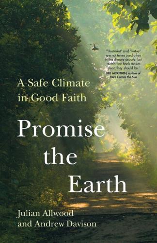 Promise the Earth: A Safe Climate in Good Faith  by Julian Allwood (University of Cambridge) at Abbey's Bookshop, 